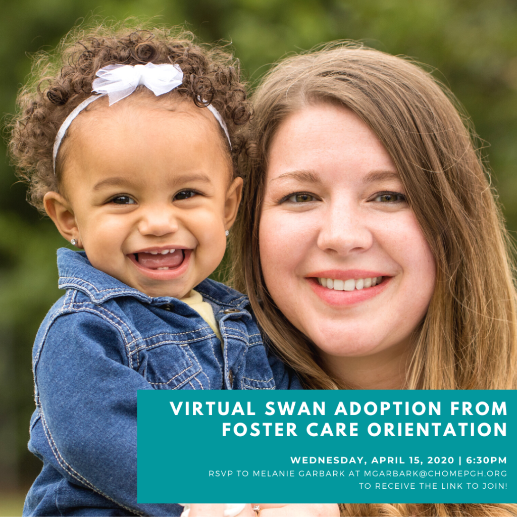 virtual swan adoption (1)